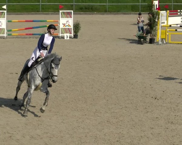Reitturnier Werdenberg 2022