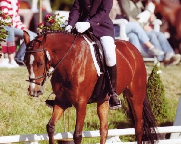 broodmare Valerie (German Riding Pony, 1996, from Vivaldi)