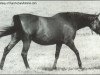 broodmare Flaming Page xx (Thoroughbred, 1959, from Bull Page xx)