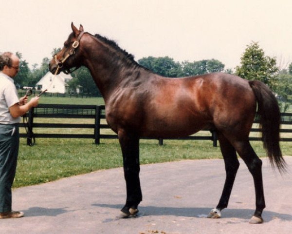 stallion Far North xx (Thoroughbred, 1973, from Northern Dancer xx)