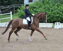 dressage horse Richie 26 (Westphalian, 2003, from Rilke)