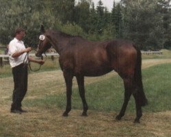 broodmare Migty Queen (Hanoverian, 1993, from Mytens xx)