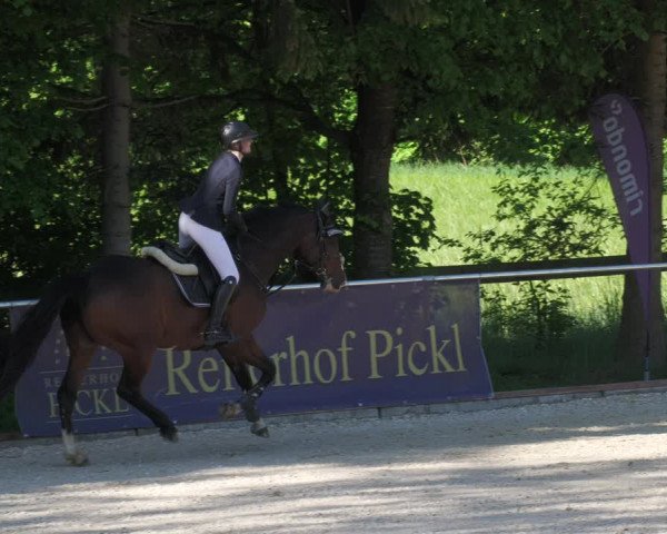 Reitturnier Karlsfeld/Obb. 2022