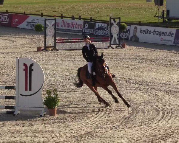 Reitturnier Westergellersen 2022