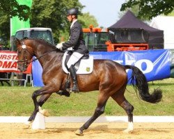 dressage horse Dublé (German Sport Horse, 2008, from Diamond Hit)