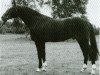 stallion Waidglanz (Hanoverian, 1983, from Waidmannsheil)