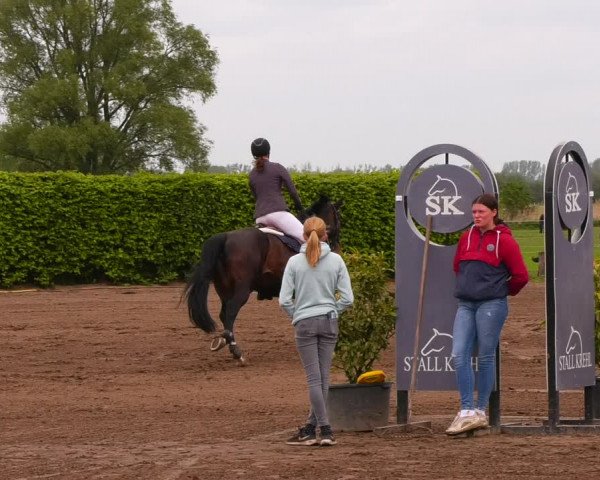 Reitturnier Lentzke - Reitanlage Krehl 2022