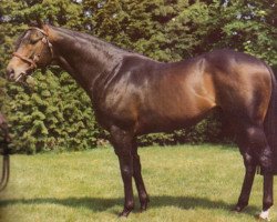 stallion Blue Cashmere xx (Thoroughbred, 1970, from Kashmir II xx)