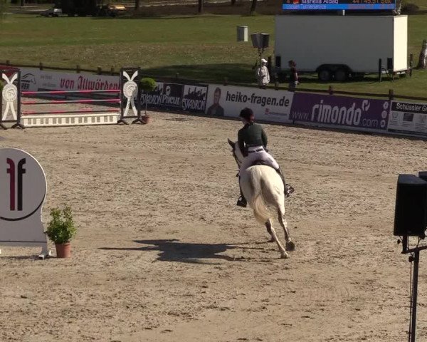 Reitturnier Westergellersen 2022