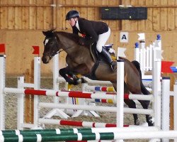 dressage horse Gina Valentina (Deutsches Reitpony, 2001, from Mac Genius)