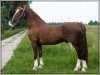 stallion Larix (KWPN (Royal Dutch Sporthorse), 1993, from Fabricius)
