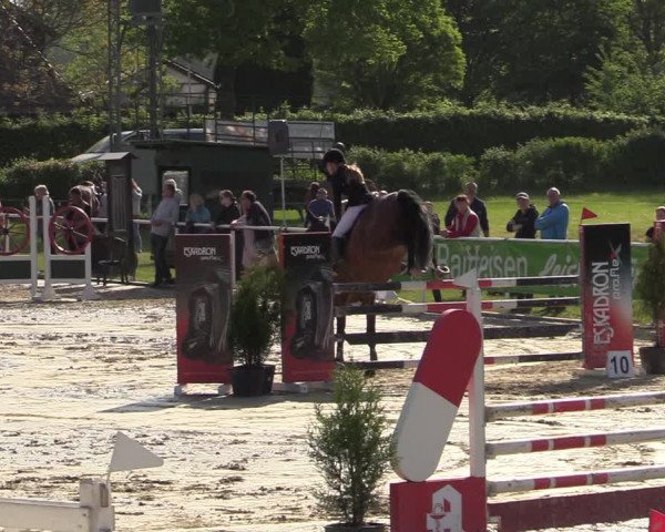Reitturnier Ostenfelde-Vornholz 2022