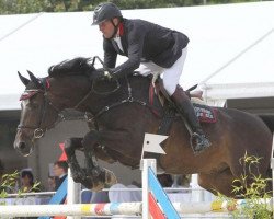 jumper Voigtsdorfs Quonschbob (Oldenburg show jumper, 2004, from Querlybet Hero)