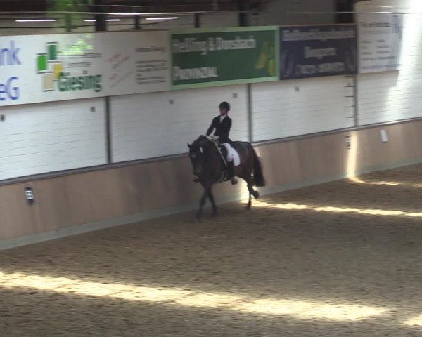 Reitturnier Rhede 2022