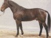stallion Whitaker (Hanoverian, 1983, from Weingau)