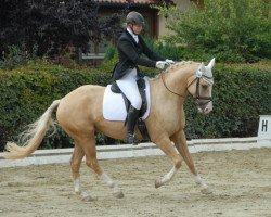 dressage horse Hot Aston Martin RH (Bavarian, 2008, from Herzruf)