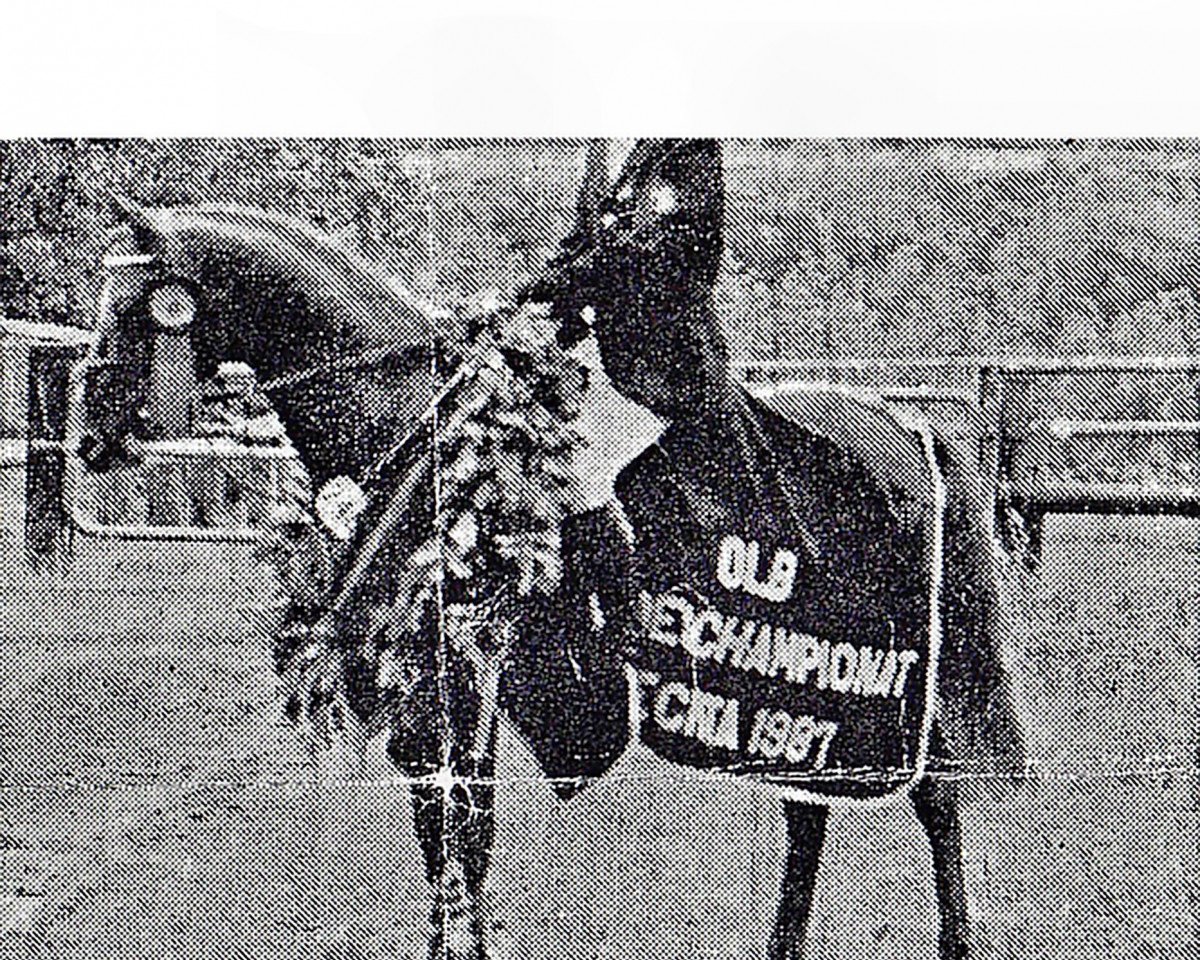stallion Nagget (German Riding Pony, 1981, from Nantano)