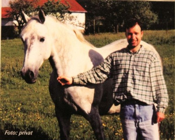 horse Baroness (Holsteiner, 1987, from Coriander)
