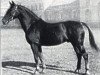 stallion Dollart (Hanoverian, 1938, from Dolman)