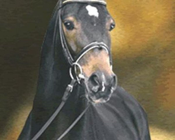 Pferd Competent (Hannoveraner, 1996, von Compliment)