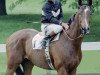 stallion Ardross xx (Thoroughbred, 1976, from Run The Gantlet xx)