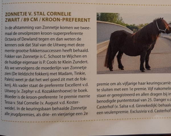 broodmare Zonnetje v. Stal Cornelie (Shetland Pony,  , from Excellent van de Uitweg)