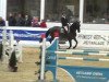 jumper Respect (KWPN (Royal Dutch Sporthorse), 1998, from Kigali)