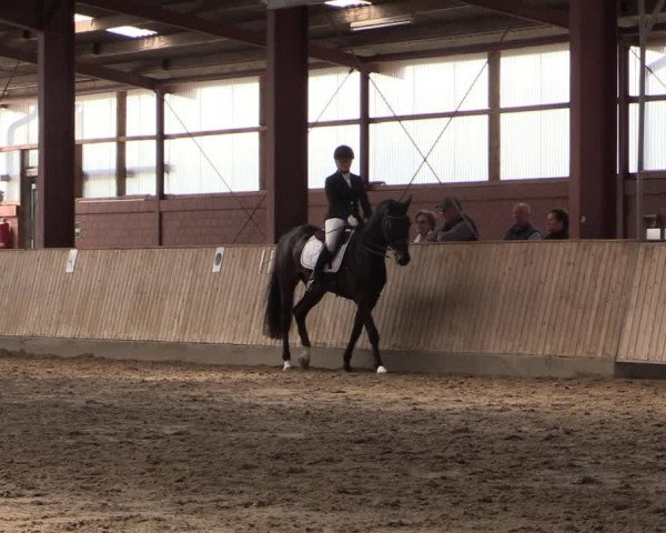 Reitturnier Ostenfelde-Vornholz 2022