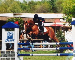 stallion Parade (German Riding Pony, 1998, from Principal Boy)