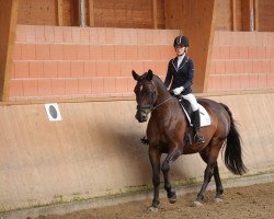 dressage horse Royal Dancer 21 (Hanoverian, 2001, from Rotspon)