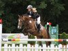 broodmare Dream Girl 47 (German Riding Pony, 2006, from Danny Gold)