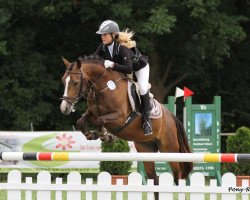 broodmare Dream Girl 47 (German Riding Pony, 2006, from Danny Gold)