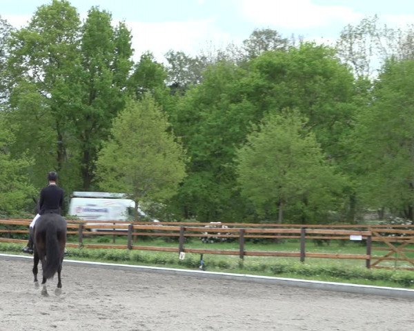 Reitturnier Schwanewede 2022