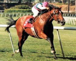 stallion Tertian xx (Thoroughbred, 1989, from Danzig xx)