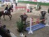 jumper Livius D (Rhinelander, 2007, from Lord Lancer)