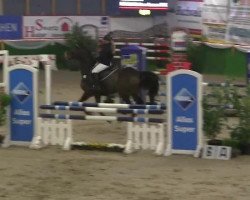 jumper Voldemort 3 (KWPN (Royal Dutch Sporthorse), 2002, from Krunch de Breve)