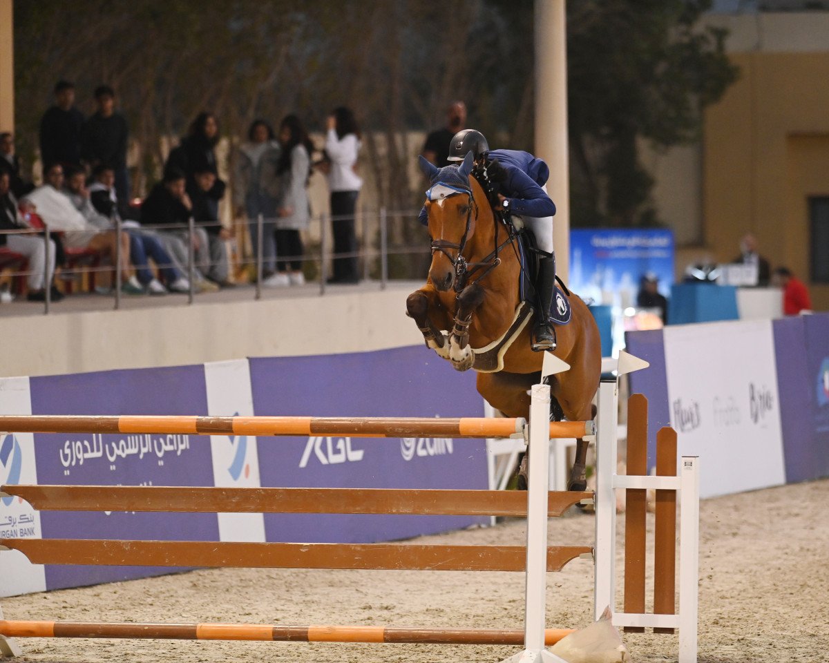 Springpferd Cavramiro Royale (Irisches Reitpferd, 2008)