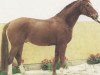 stallion Lombardo (Hanoverian, 1984, from Lombard)