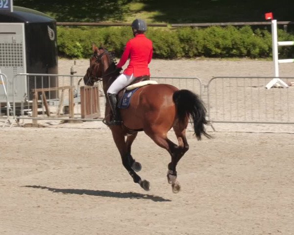 Reitturnier Tübingen 2022