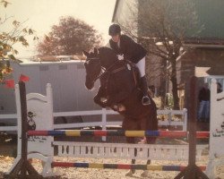 dressage horse Fidalgo 20 (Hanoverian, 2007, from Forrester)