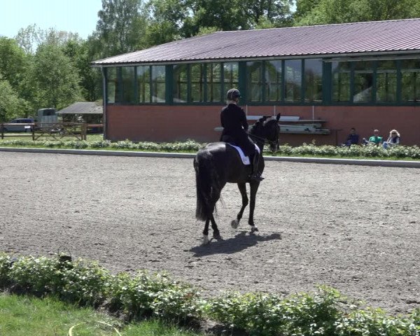 Reitturnier Schwanewede 2022