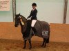 jumper Candy Crush (German Riding Pony, 2008, from Grisu N)