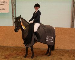 jumper Candy Crush (German Riding Pony, 2008, from Grisu N)