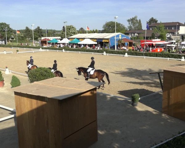Reitturnier Bornheim-Widdig 2022