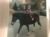 broodmare Alina (New Forest Pony, 1984, from Corvin)