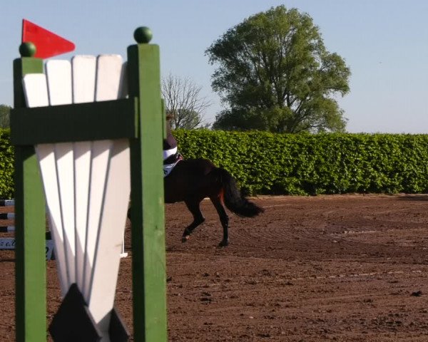 Reitturnier Lentzke - Reitanlage Krehl 2022