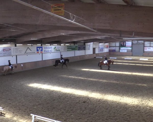 Reitturnier Rhede 2022