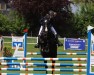 jumper Sammy Cooper (Hanoverian, 2011, from Stolzenberg)