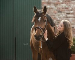 broodmare Casalita 8 (Holsteiner, 2014, from Casalito)