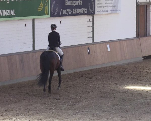 Reitturnier Rhede 2022